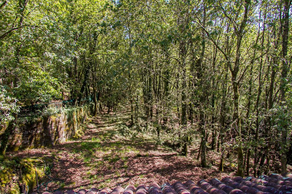 Liiiving In Caminha | Oak Tree Chill House Βίλα Εξωτερικό φωτογραφία